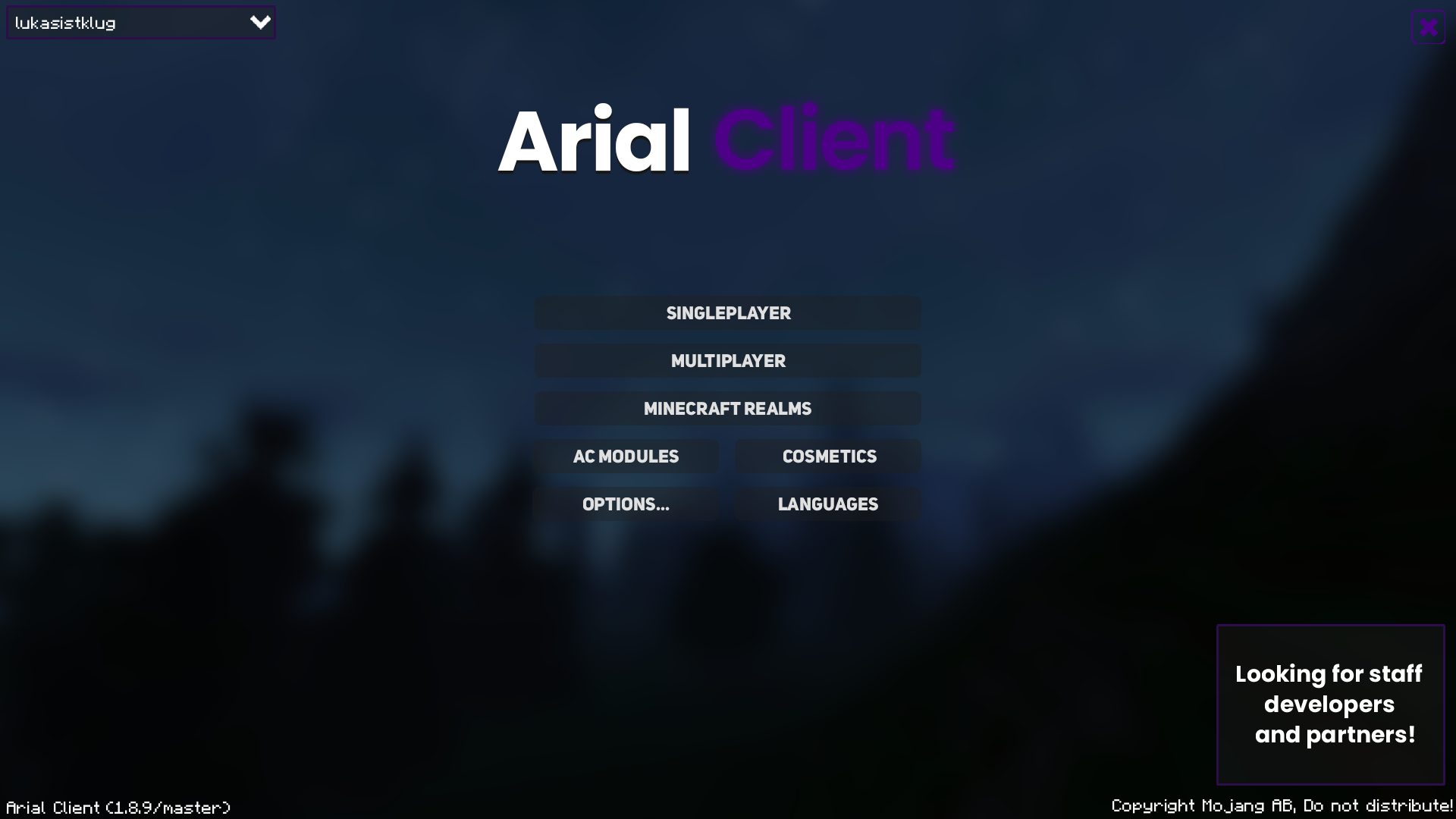 Arial Client Screenshot 3